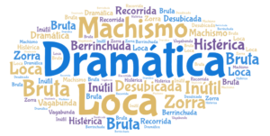 nube de palabras, entre ellas: Recorrida, Bruta, Zorra, Desubicada, Machismo, Berrinchuda, Dramática, Histérica, Loca, Vagabunda, inútil.