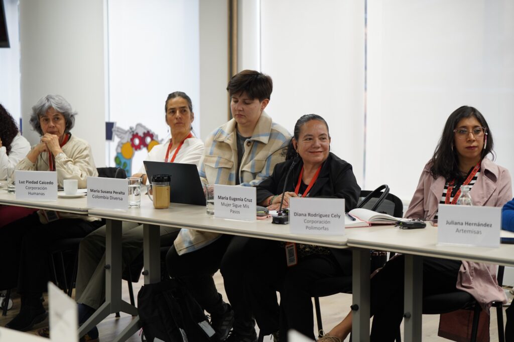 Aparecen sentadas 5 mujeres frente a una mesa con sus esquelas. En orden de aparicipión de izquierda a derecha: Luz Piedad Caicedo (Corporacion Humanas); Maria Susana Peralta (Colombia Diversa); Maria Eugenia Cruz (Mujer Sigue Mis Pasos); Diana Rodríguez Cely (Corporación Polimorfas; y Juliana Hernandez (Artemisas).