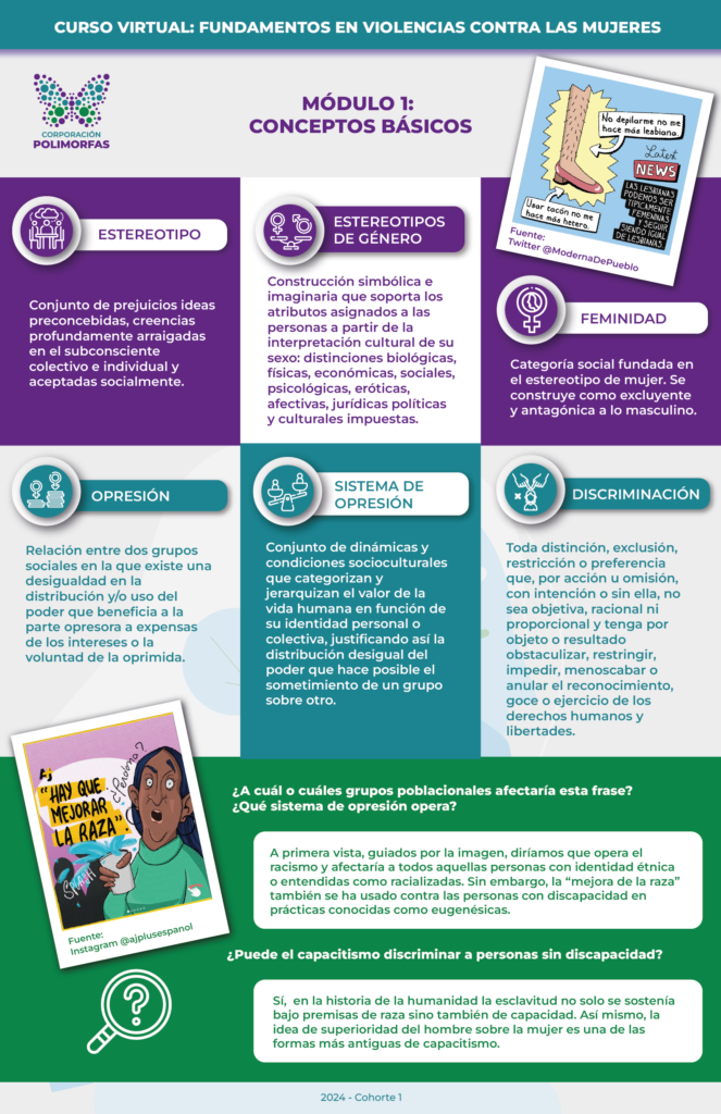 Infografía 1 Curso Violencia contra Mujeres con Discapacidad, Sesión 1