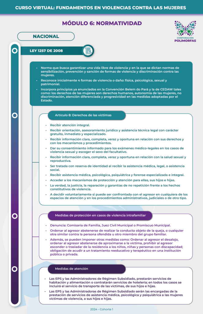 Infografía 8: Curso Violencia contra las Mujeres con Discapacidad, Sesion 6